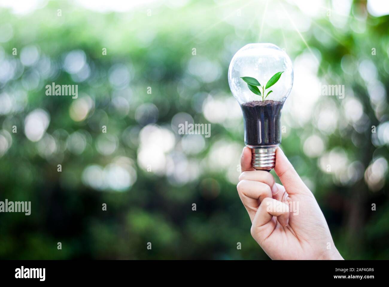Umweltschutz Kreativität am Tag der Erde oder das Konzept zur Einsparung von Energie und die Umwelt. Stockfoto