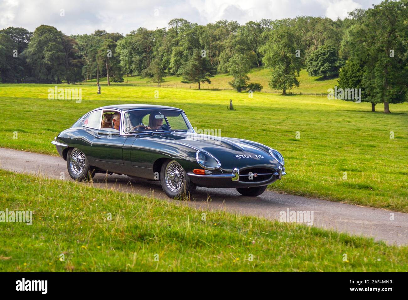 1964 60s Green British Jaguar 'E' Type; Oldtimer, historics, gehegt, Oldtimer, Sammlerstück restaurierter Oldtimer-Veteran, Fahrzeuge vergangener Zeiten, die für das historische Auto-Event von Mark Woodward in Leighton Hall, Carnforth, Großbritannien, eintreffen Stockfoto