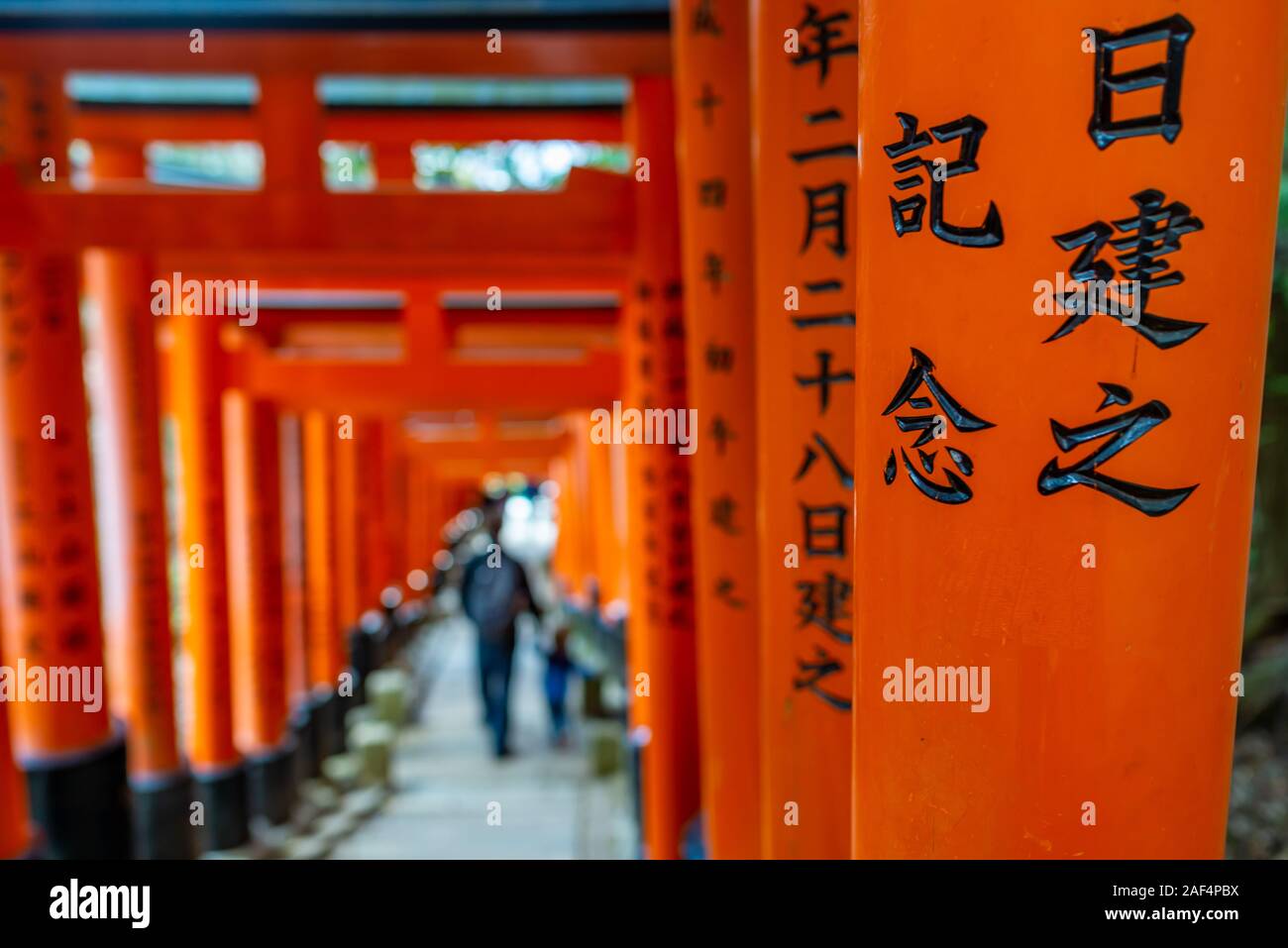 Kyoto, Japan - 24. März 2017: unkenntlich Vater und Sohn gehen unter tori Tore und in der Nähe der Japanischen Schrift am Fushimi Inari Schrein, ta Stockfoto
