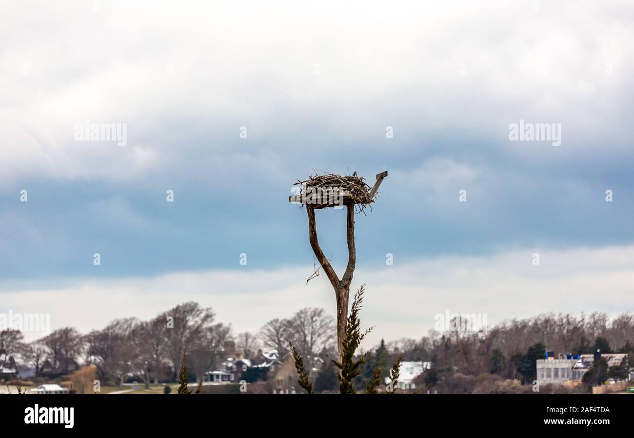 Nicht belegte osprey Nest in einer Winterlandschaft, Shelter Island, NY Stockfoto