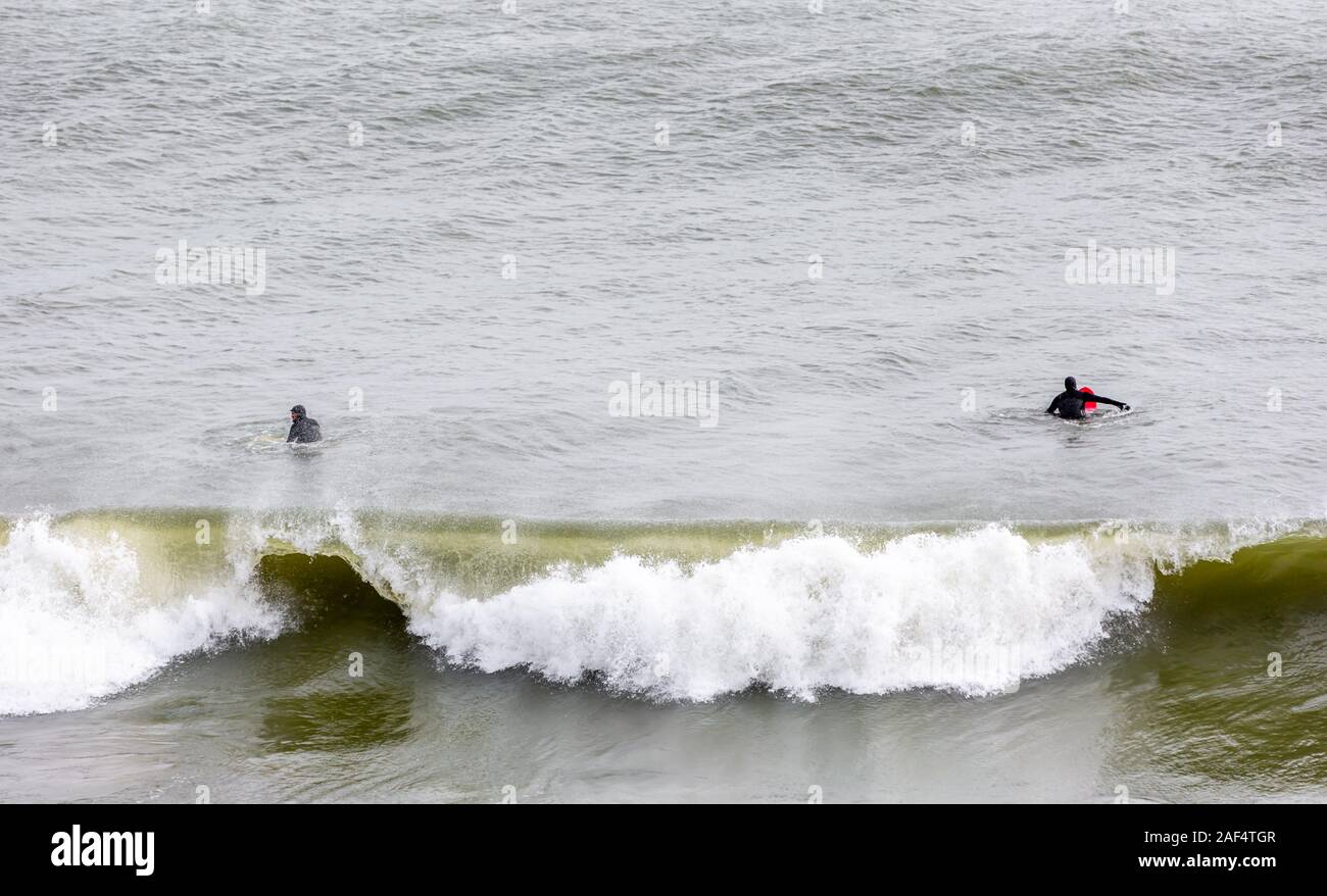 Surfer in die Brandung am Turtle Cove, Montauk Stockfoto