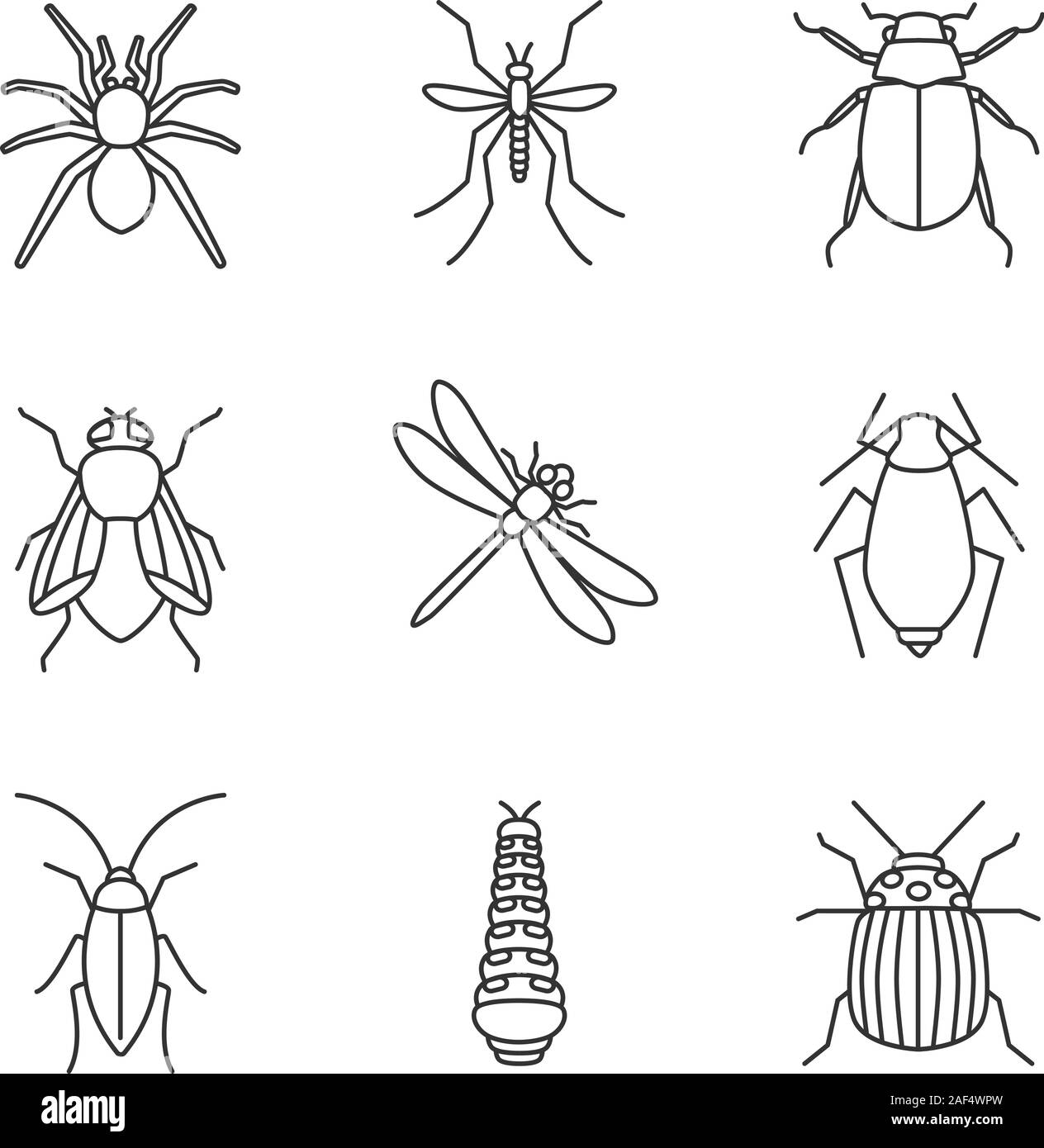 Lineare Symbole gesetzt. Spider, Mosquito, maybug, Kakerlake, Stubenfliege, Libelle, Bluter, Caterpillar, Colorado bug. Thin Line Kontur Symbole. Isolierte vect Stock Vektor