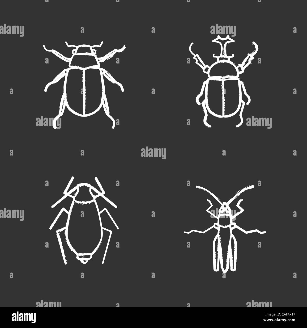 Insekten chalk Symbole gesetzt. Käfer, Hercules Beetle, Bluter, Heuschrecke. Isolierte vektor Tafel Abbildungen Stock Vektor