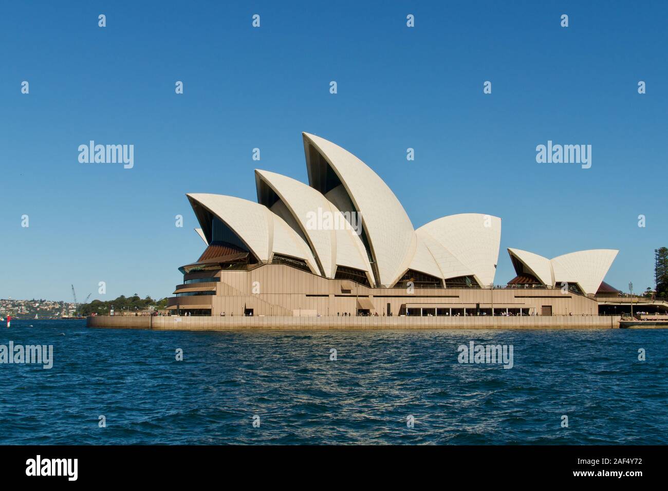 Sydney Opera House, auf Port Jackson, Sydney, New South Wales, Australien Stockfoto