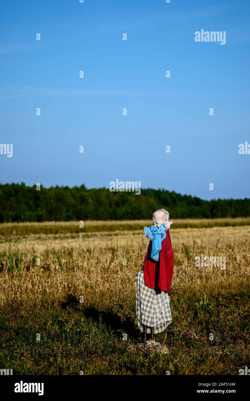 Vogelscheuche in einem Land, Feld Stockfoto