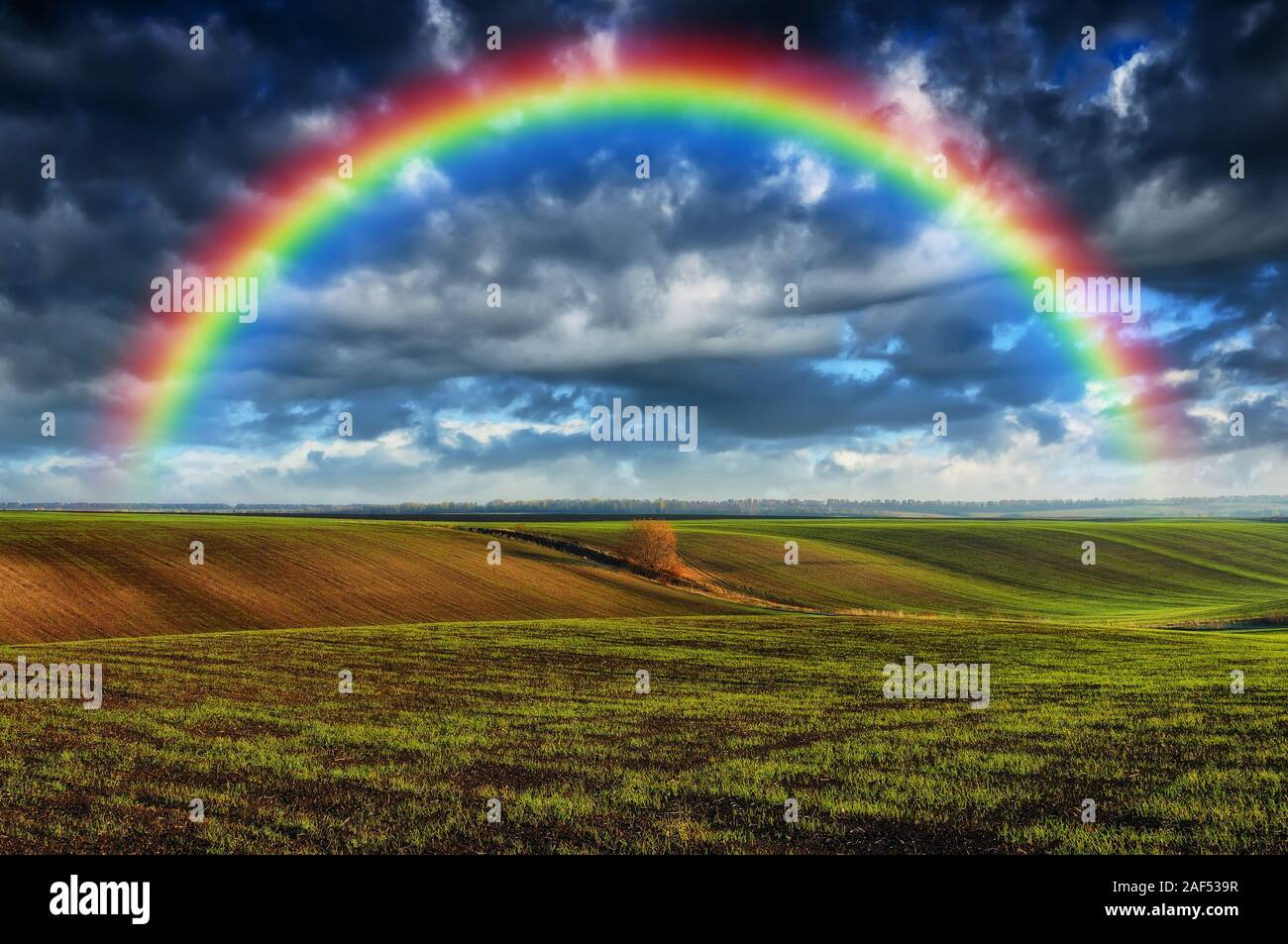 Regenbogen im Feld. malerischen Himmel über ein hügeliges Gebiet. Nach einem Gewitter Stockfoto