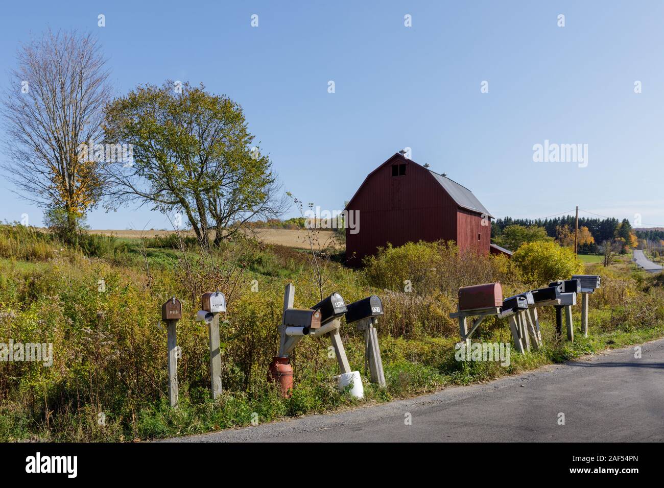 Ländliche scenic mit Scheune und Mailboxen, Cherry Valley, Otsego County, New York State. Stockfoto