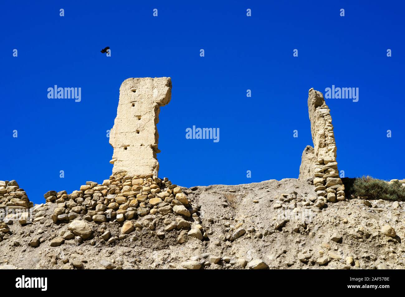 Alpine chough hochfliegende unter den Ruinen einer alten Gompa im Chuksang, Upper Mustang, Nepal. Stockfoto