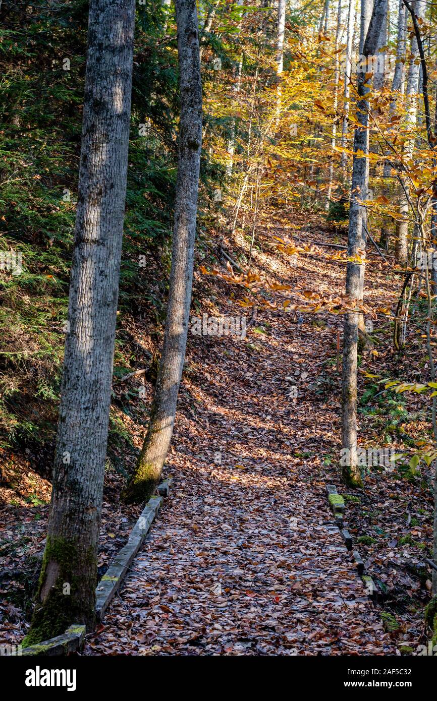 Kleine Brücke auf Wanderweg in Lansing West Virginia im Herbst Stockfoto