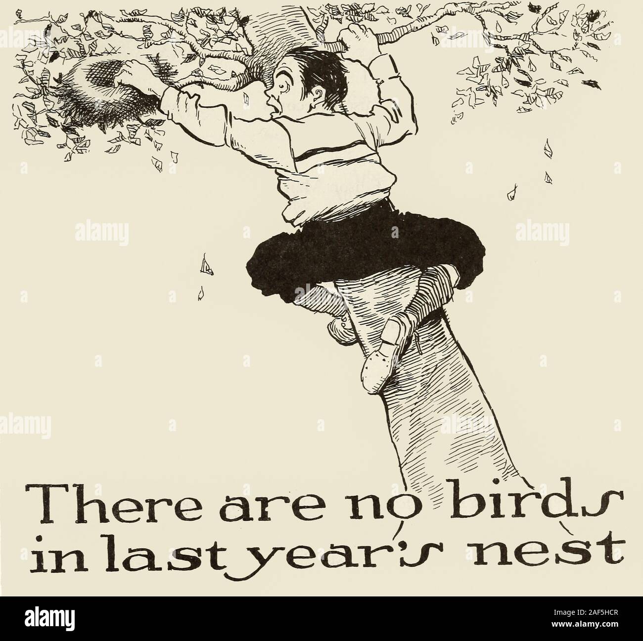 Es gibt keine Vögel in der letztjährigen Nest Stockfoto