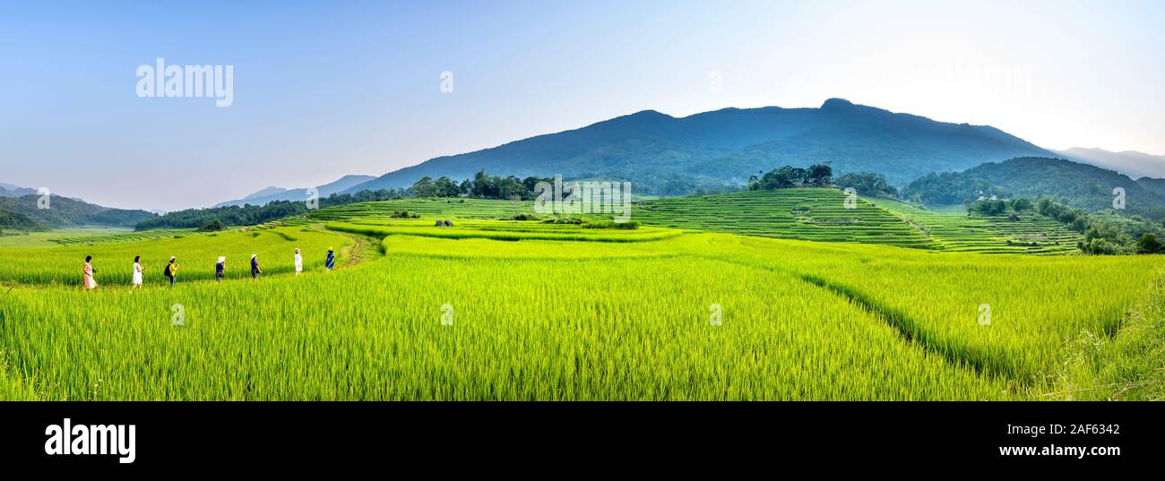 Pu Luong Kommune, Provinz Thanh Hoa, Vietnam - 30. September 2019: Panoramablick auf den schönen grünen Terrassen von Pu-Luong Kommune, Thanh Hoa Provinz Stockfoto