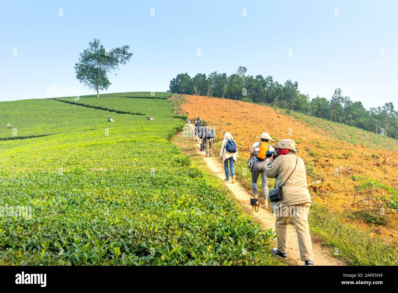 Pu Luong Kommune, Provinz Thanh Hoa, Vietnam - Oktober 1, 2019: Touristen besuchen Lange Coc Kaffee Hügel in der Provinz Phu Tho, Vietnam Stockfoto