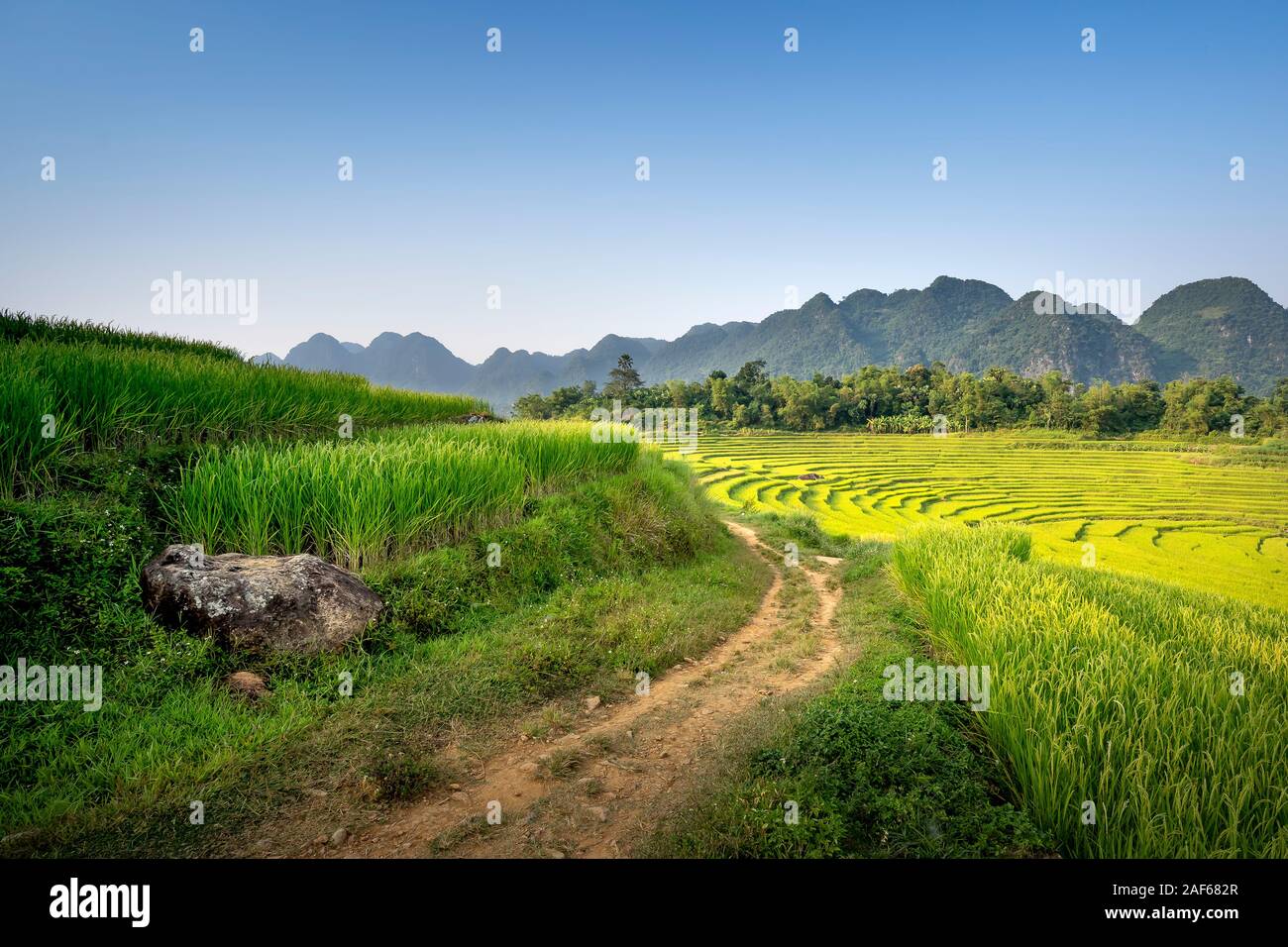 Blick auf den wunderschönen grünen Terrassen von Pu-Luong Kommune, Provinz Thanh Hoa, Vietnam Stockfoto