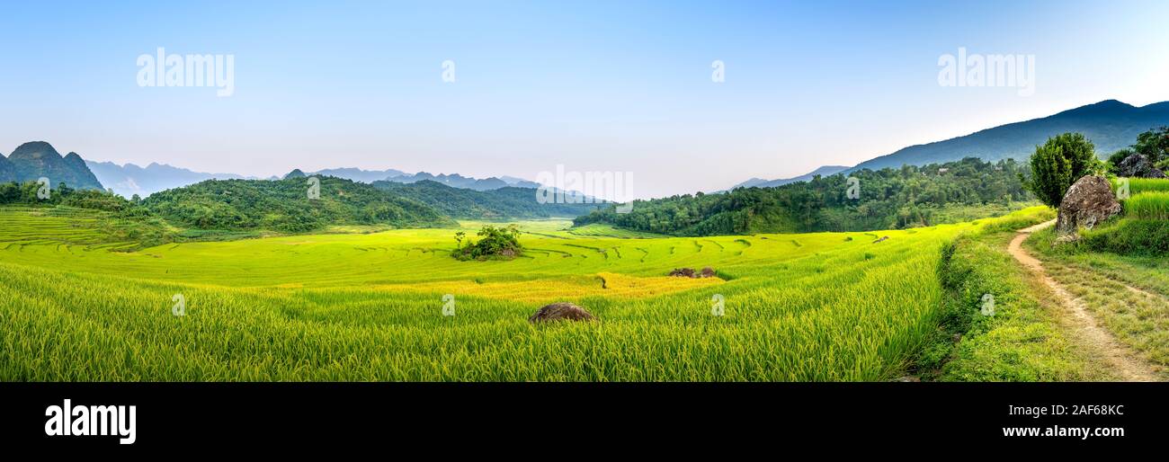 Panoramablick auf den schönen grünen Terrassen von Pu-Luong Kommune, Provinz Thanh Hoa, Vietnam Stockfoto