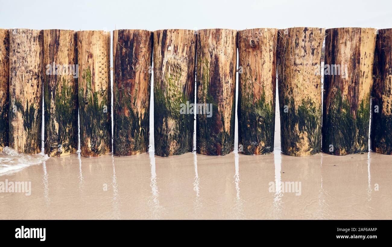 Holz- Leiste teilweise mit Algen am Strand bedeckt. Stockfoto