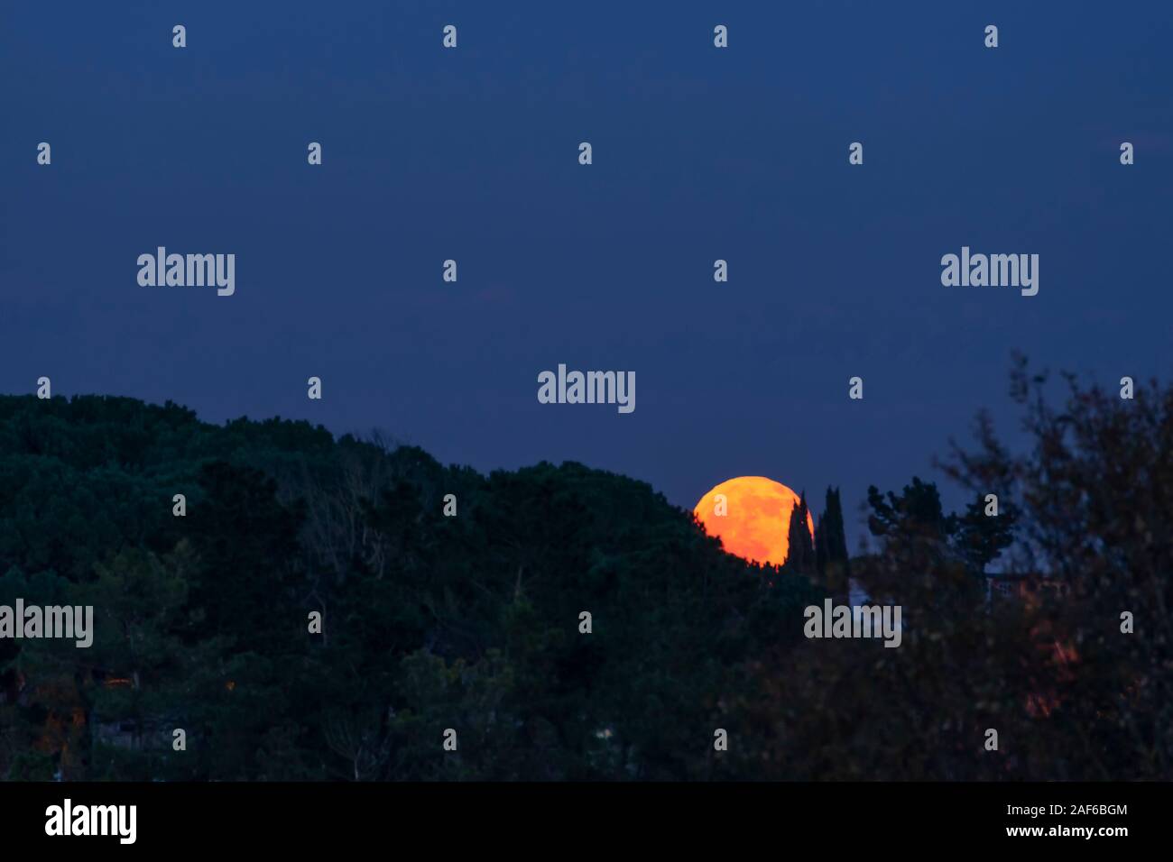 Eine schöne volle Red moon steigt von hinter einem Hügel mit Bäumen Stockfoto