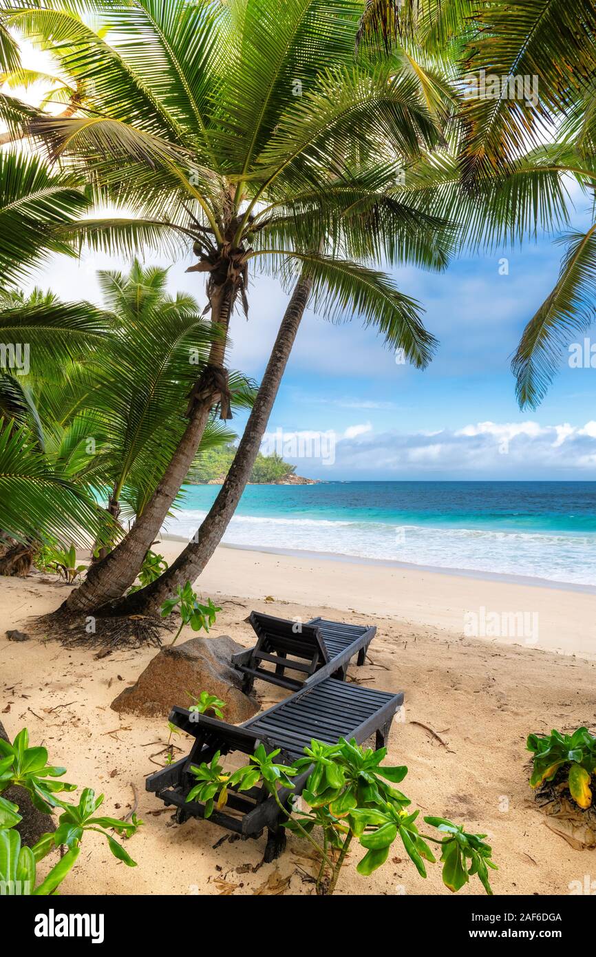 Ferienhäuser tropischer Strand mit Kokos Palmen und Strandliegen Stockfoto Ferienhäuser tropischer Strand mit Kokos Palmen und Strandliegen Stockfoto