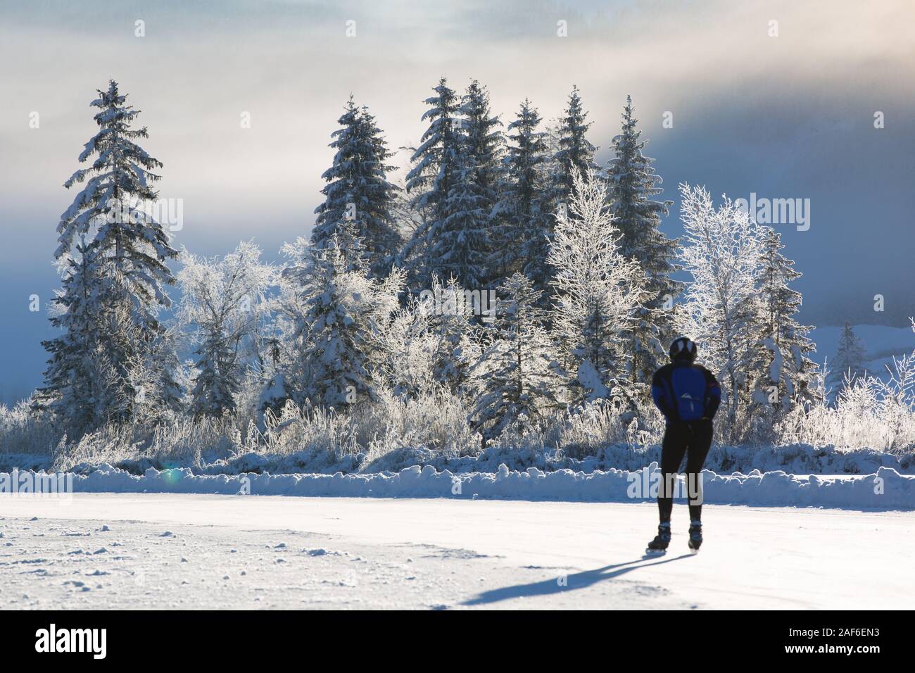Kalten sonnigen Morgen. Eine Gruppe von gefrorenen Bäumen und einem Ice skater Skate über einen gefrorenen See bei Sonnenaufgang, Weissensee, Kärnten, Alpen, Österreich Stockfoto