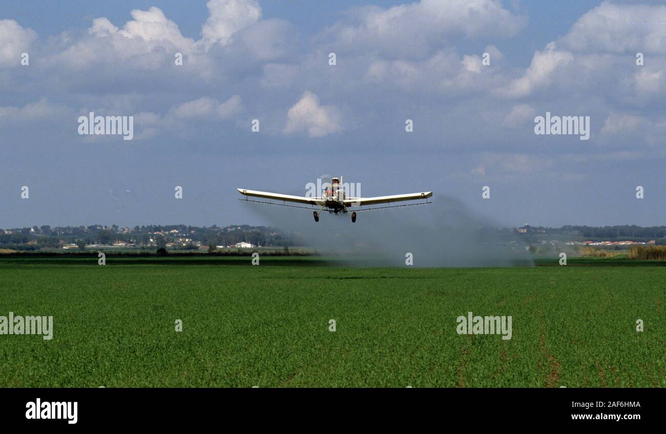 Crop dusting ein Flugzeug Sprühen von Insektiziden in Kulturpflanzen. In Jesreel Tal, Israel fotografiert. Stockfoto