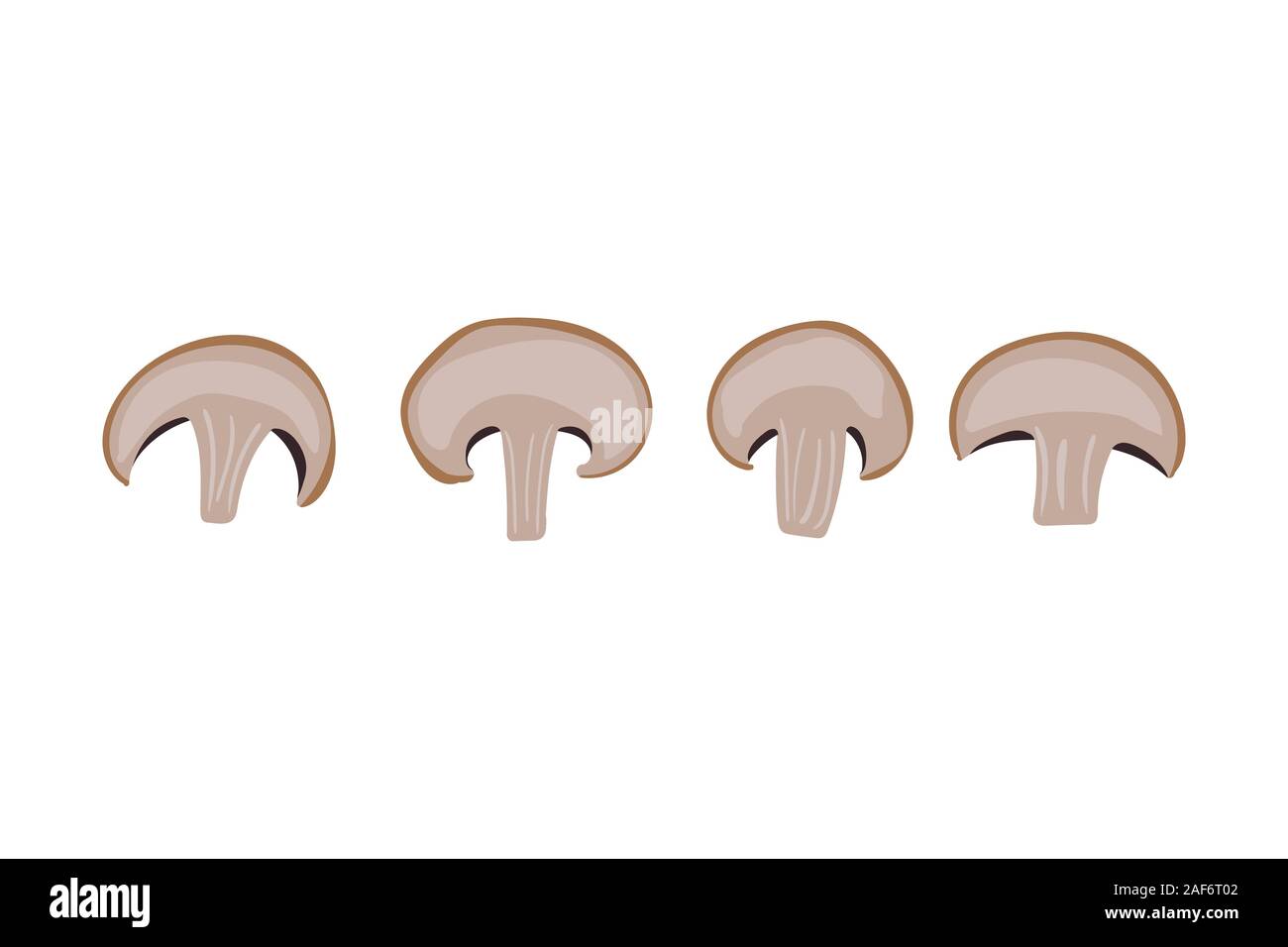 Pilz gesetzt. Champignon Vector Illustration. Vegetarisches Essen. Stock Vektor
