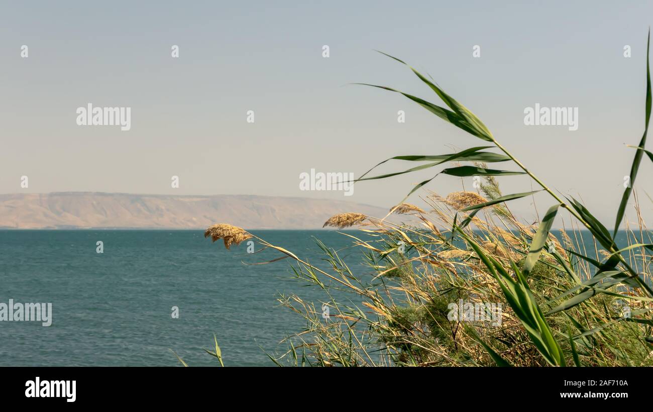 Blick auf den See Genezareth und die Berge am Horizont Stockfoto