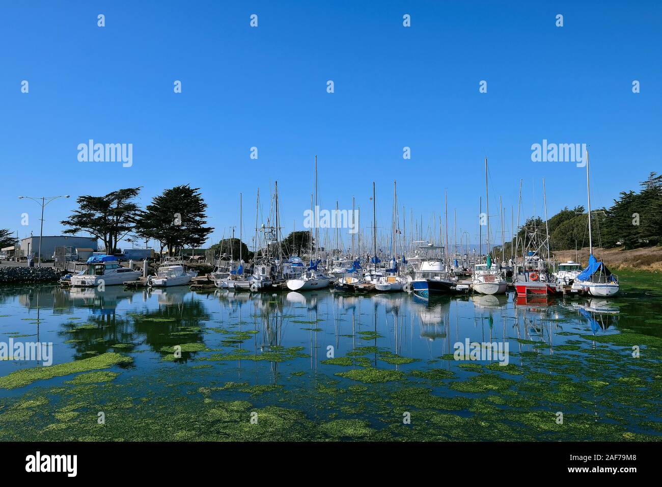 Boote im Jachthafen von Moss Landing, Kalifornien, USA Stockfoto