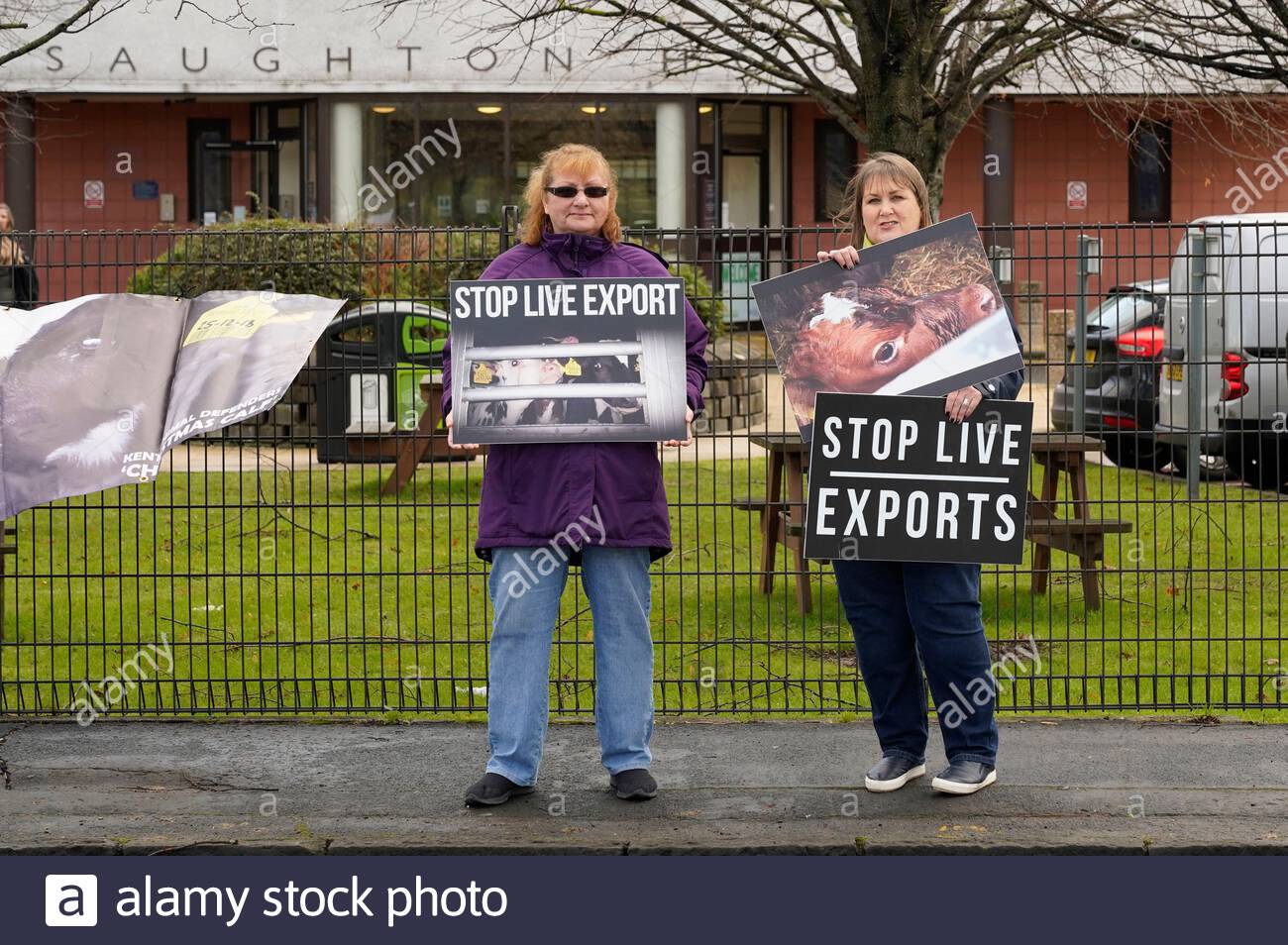 Edinburgh, Schottland, Großbritannien. 13. Dez 2019. Protest gegen die Ausfuhr lebender Tiere durch Schottland für Tiere, eine Basisbewegung, Animal Charity, deren Kern Ziel ist es, alle Ausbeutung der Tiere zu beenden. Schottland ist ein wichtiger Akteur in der Exportindustrie, nur wenige Wochen alte Kälber von ihren Müttern übernommen und sind in den Europäischen Kalbfleisch System gesendet. Demonstration vor Saughton Haus der Schottischen Regierung Gebäude. Quelle: Craig Brown/Alamy leben Nachrichten Stockfoto