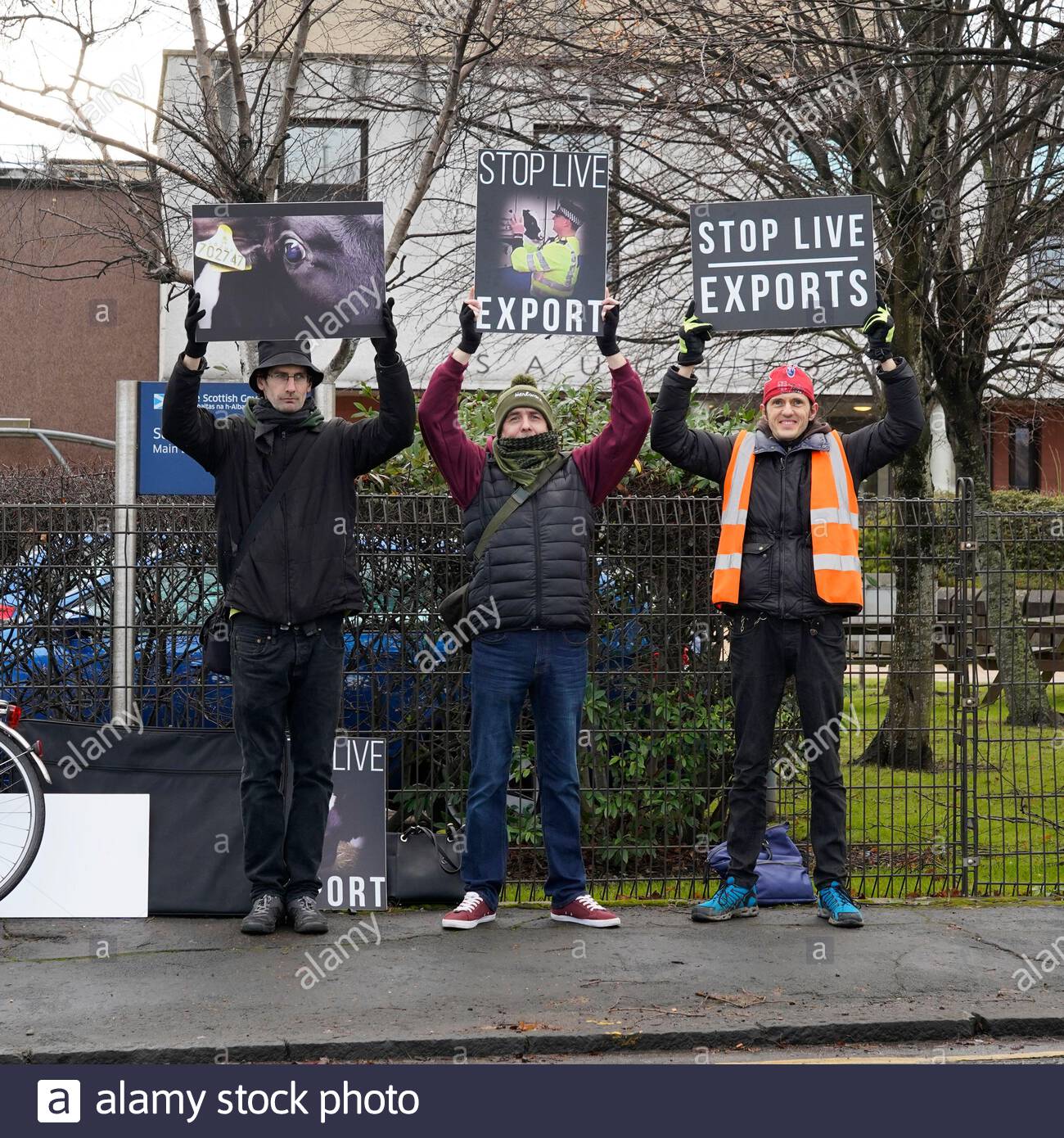 Edinburgh, Schottland, Großbritannien. 13. Dez 2019. Protest gegen die Ausfuhr lebender Tiere durch Schottland für Tiere, eine Basisbewegung, Animal Charity, deren Kern Ziel ist es, alle Ausbeutung der Tiere zu beenden. Schottland ist ein wichtiger Akteur in der Exportindustrie, nur wenige Wochen alte Kälber von ihren Müttern übernommen und sind in den Europäischen Kalbfleisch System gesendet. Demonstration vor Saughton Haus der Schottischen Regierung Gebäude. Quelle: Craig Brown/Alamy leben Nachrichten Stockfoto