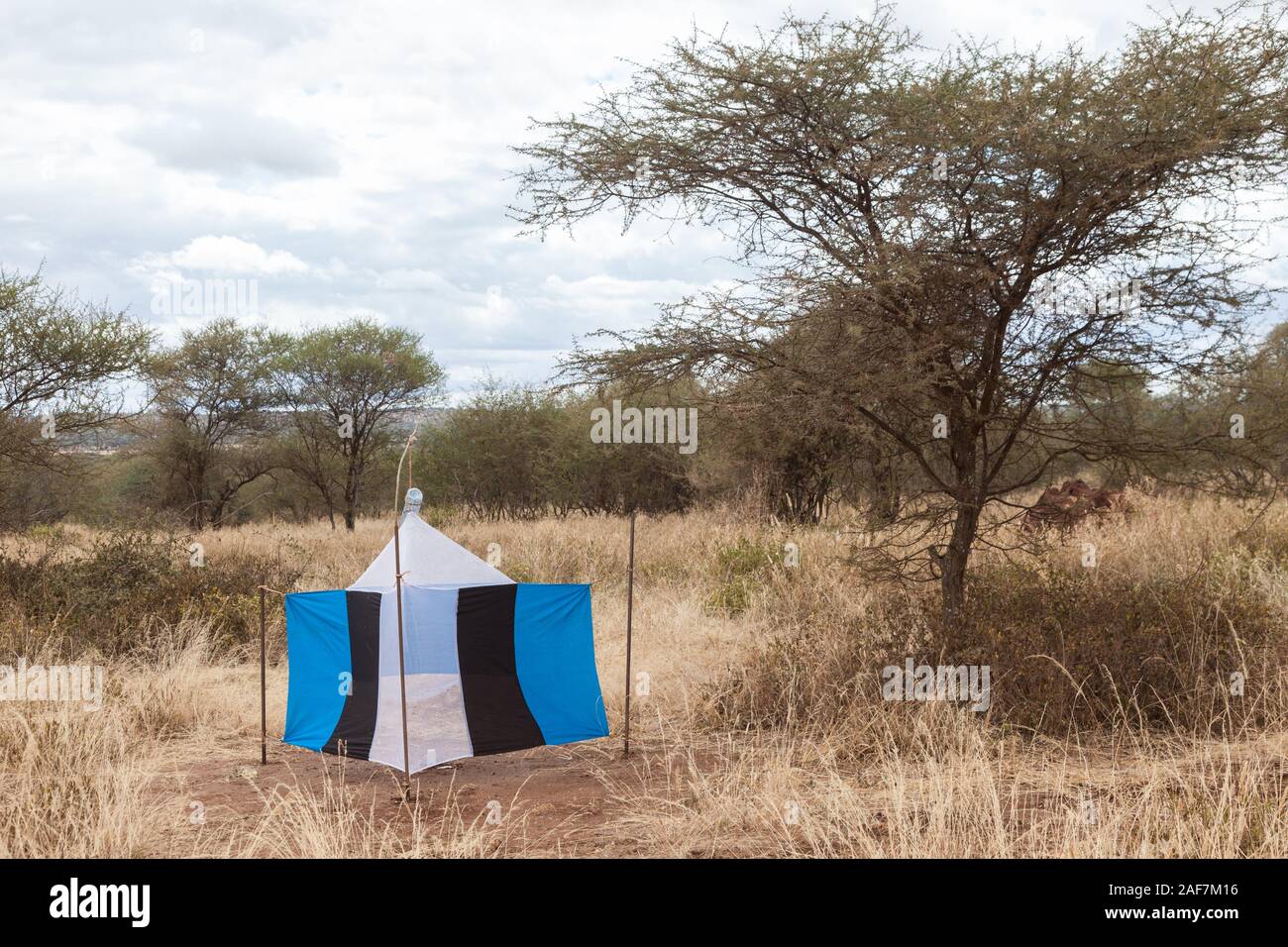 Tansania. Der Tarangire National Park. Tsetsefliege Traps. Fliegen sind durch blaue Farbe angezogen. Stockfoto