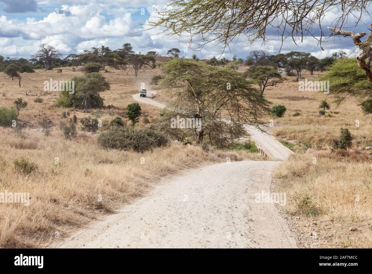 Tansania. Der Tarangire National Park Road Scenic. Stockfoto