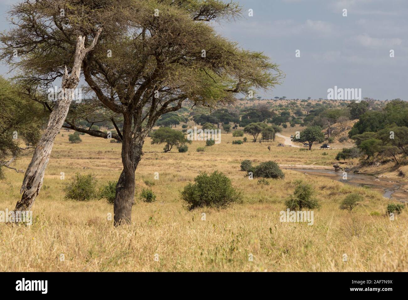 Tansania. Der Tarangire National Park, malerischen Blick. Stockfoto