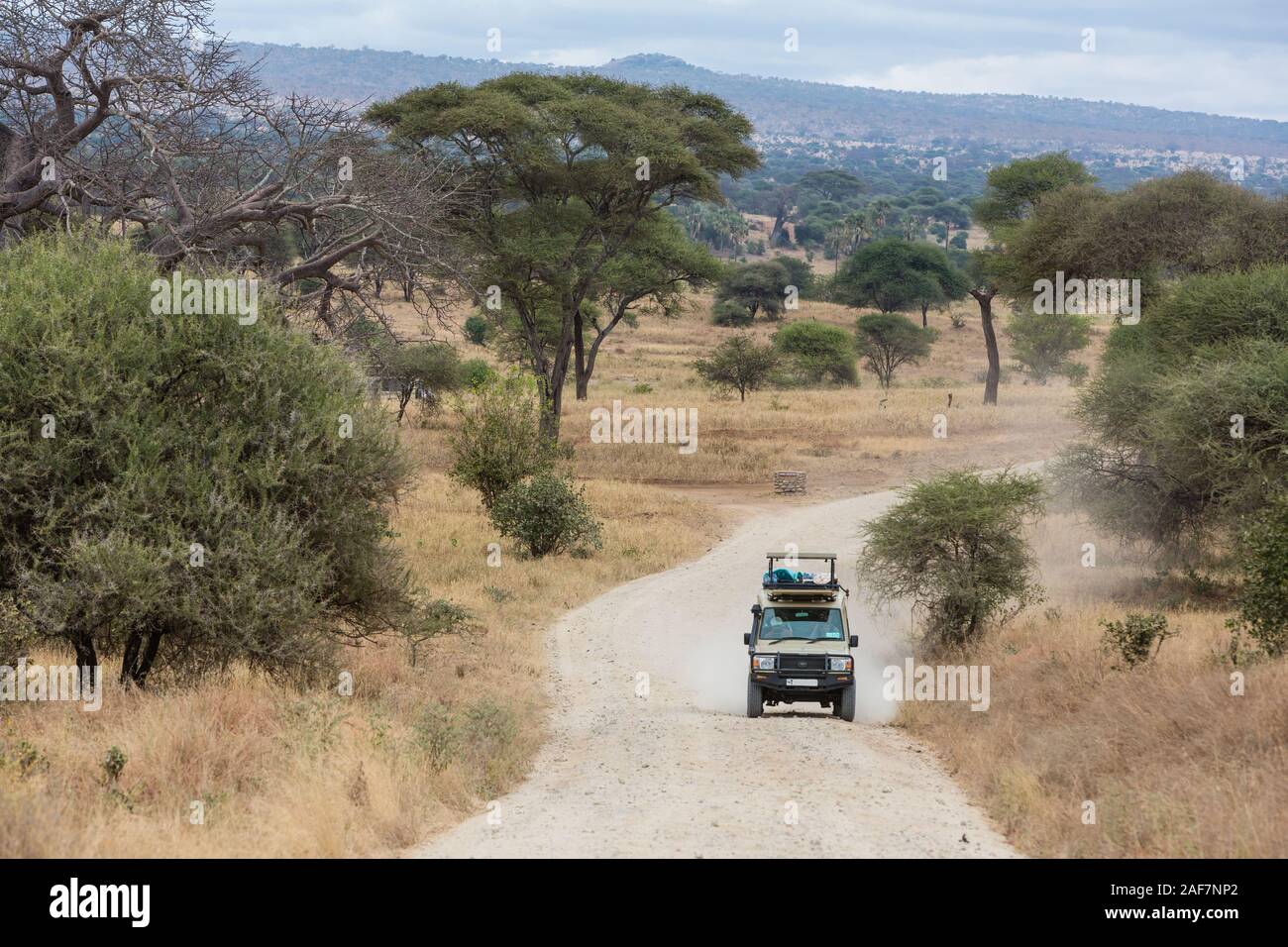 Tansania. Eine Straße im Tarangire Nationalpark. Stockfoto