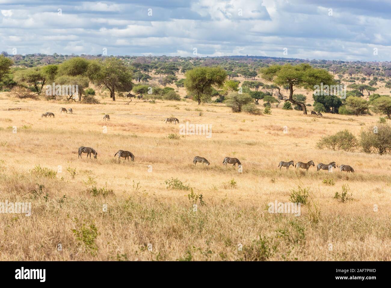 Tansania. Der Tarangire National Park. Malerische Landschaft Stockfoto