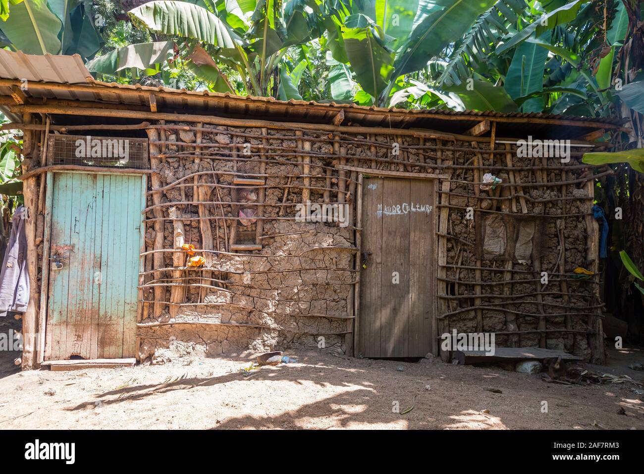 Tansania. Mto Wa Mbu. Farmer's Haus in Mitten in einer Bananenplantage. Stockfoto
