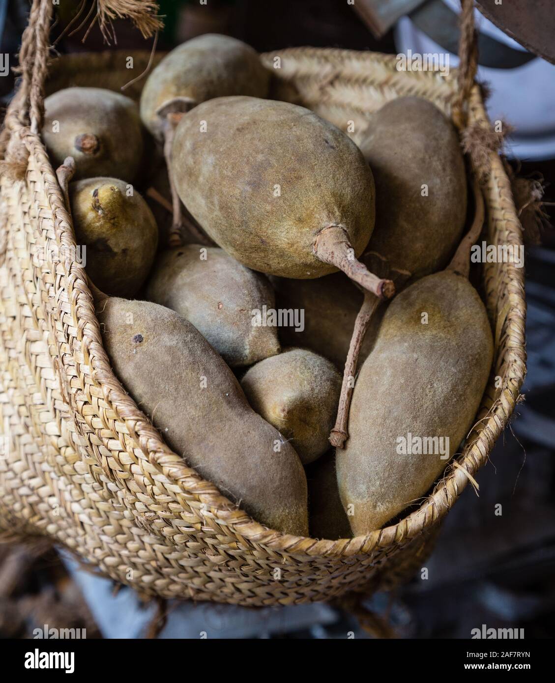 Tansania. Mto Wa Mbu. Baobab Obst auf dem Markt. Stockfoto