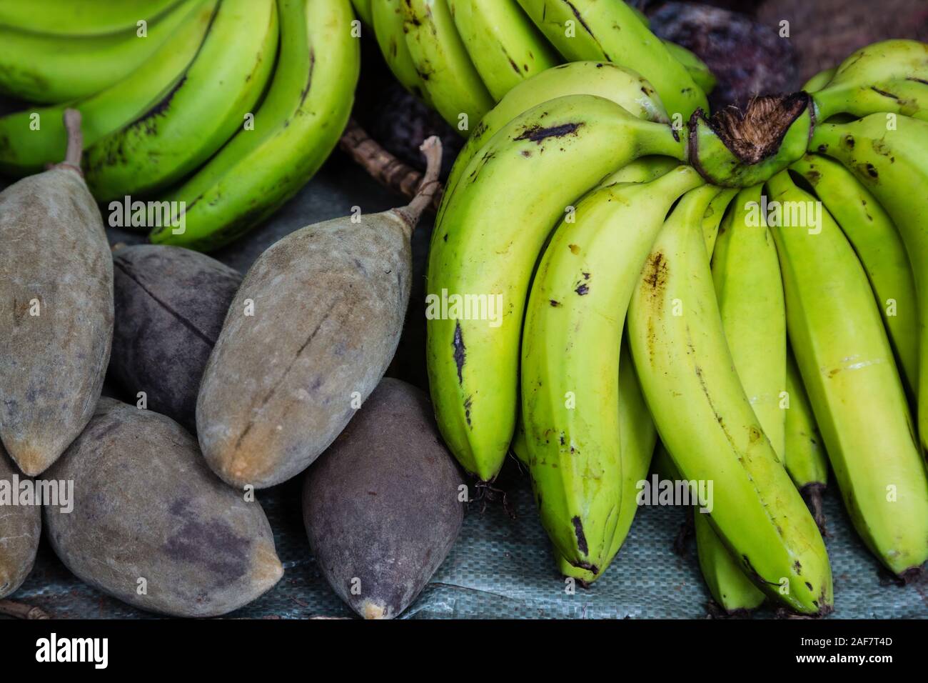 Tansania. Mto Wa Mbu. Baobab Obst und Bananen. Stockfoto