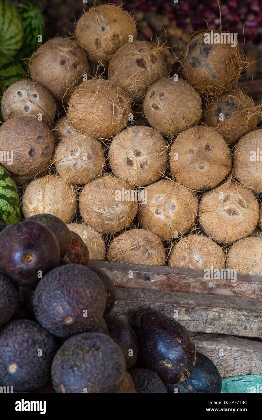 Tansania. Mto Wa Mbu. Kokosnüsse und Avocados auf dem Markt. Stockfoto