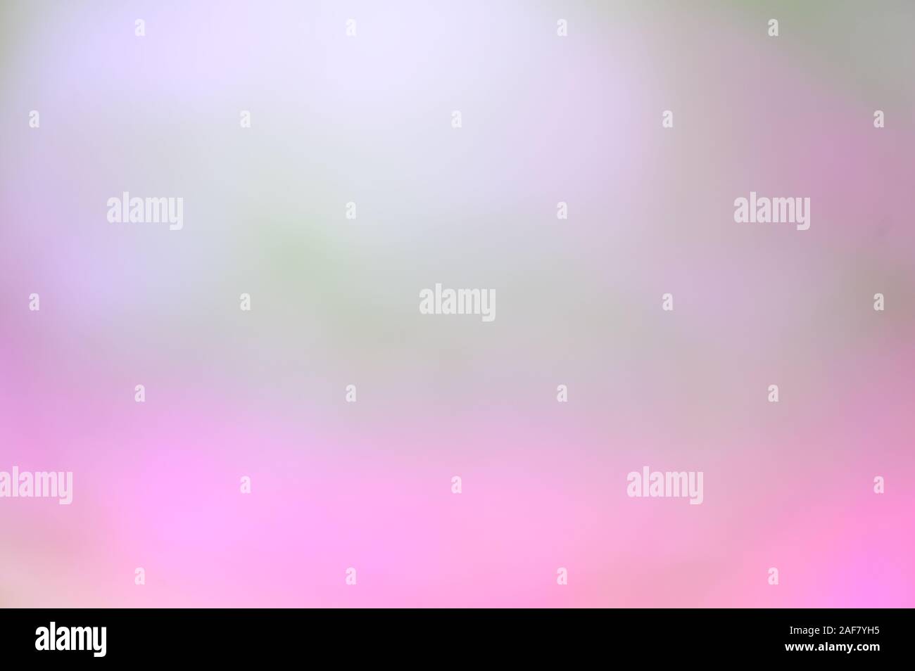 Einfache pastell Farbverlauf lila, pink blured Hintergrund für Sommer design Stockfoto