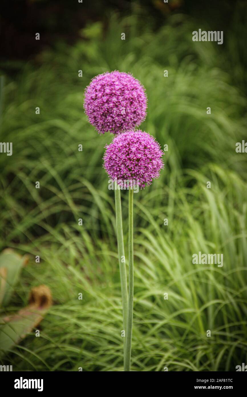 Vertikale kugel Fotos und Bildmaterial in hoher Auflösung Alamy