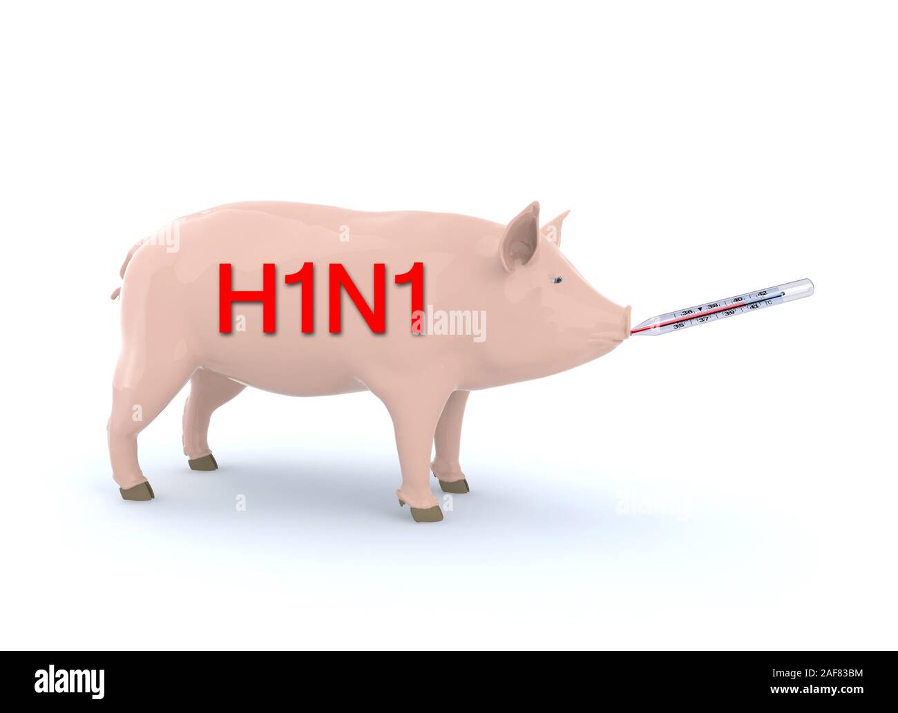 Schwein mit Thermometer auf Mund, Schweinegrippe Konzept, 3 Abbildung d Stockfoto