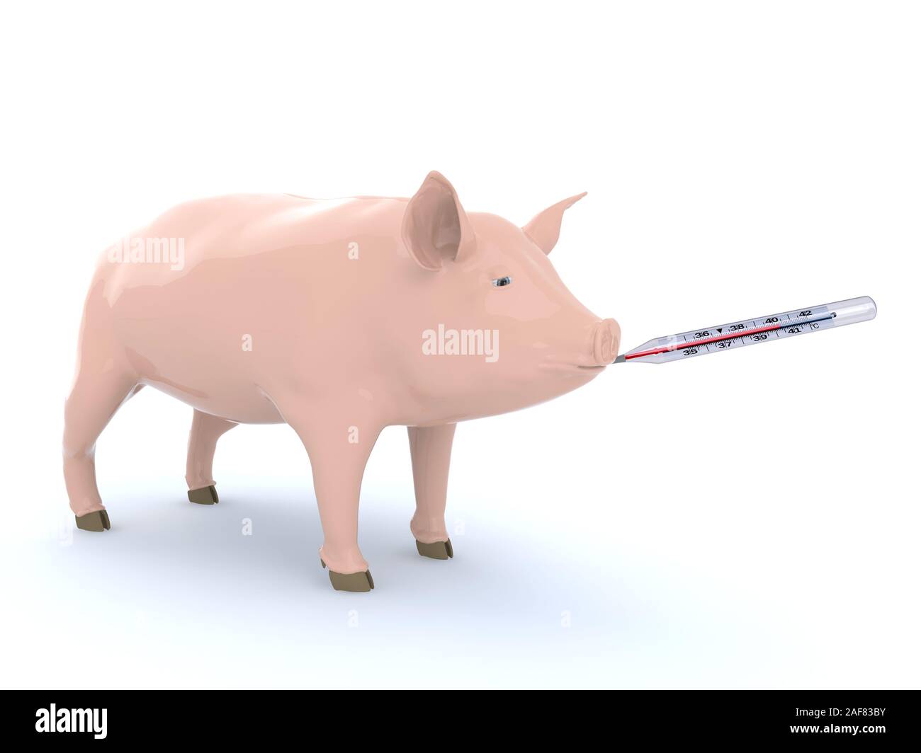 Schwein mit Thermometer auf Mund, Schweinegrippe Konzept, 3 Abbildung d Stockfoto