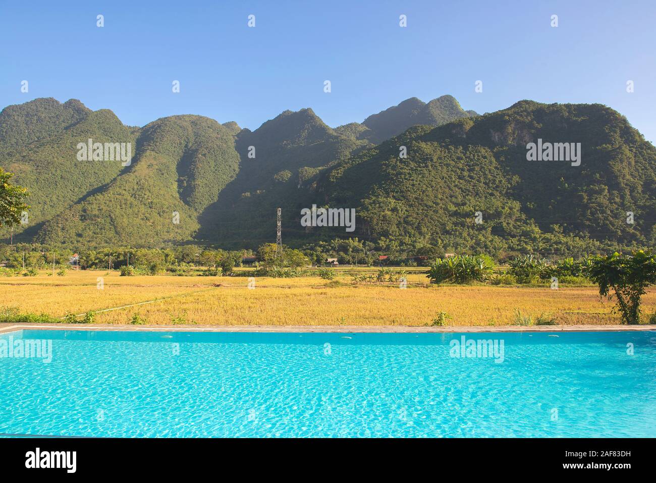 Schwimmbad und grüne, braune, gelbe und goldene Reisfelder von Mai Chau, Nordwesten von Vietnam Stockfoto