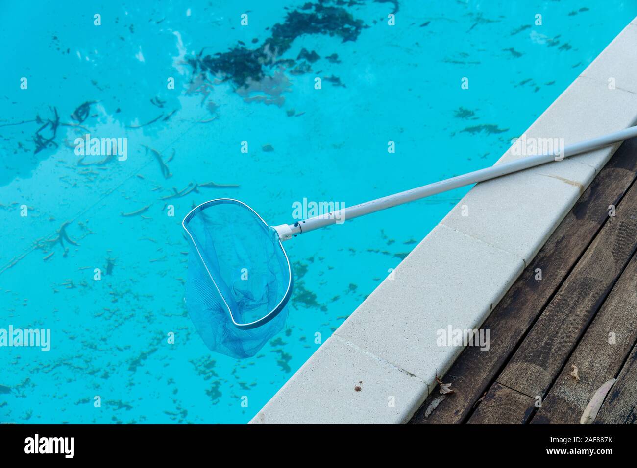Schmutziges Schwimmbad mit Blättern und Schmutz in den Pool unten. Reinigung Konzept Stockfoto