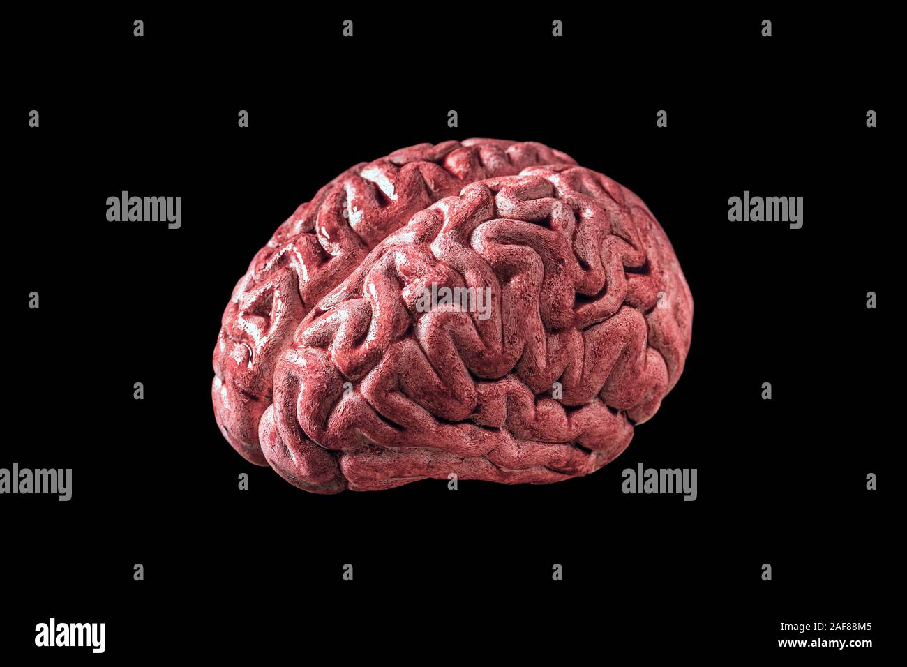 Gehirn mit Blut auf schwarzen Hintergrund mit Freistellungspfad isoliert Stockfoto