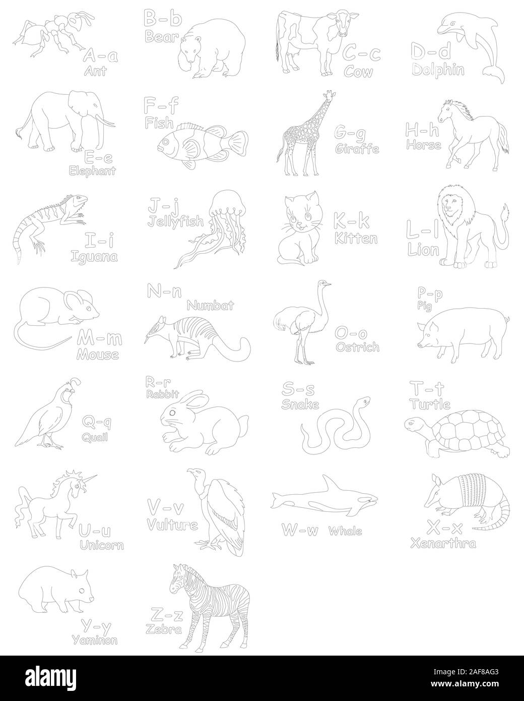 A bis Z Tiere Alphabete Stockfoto