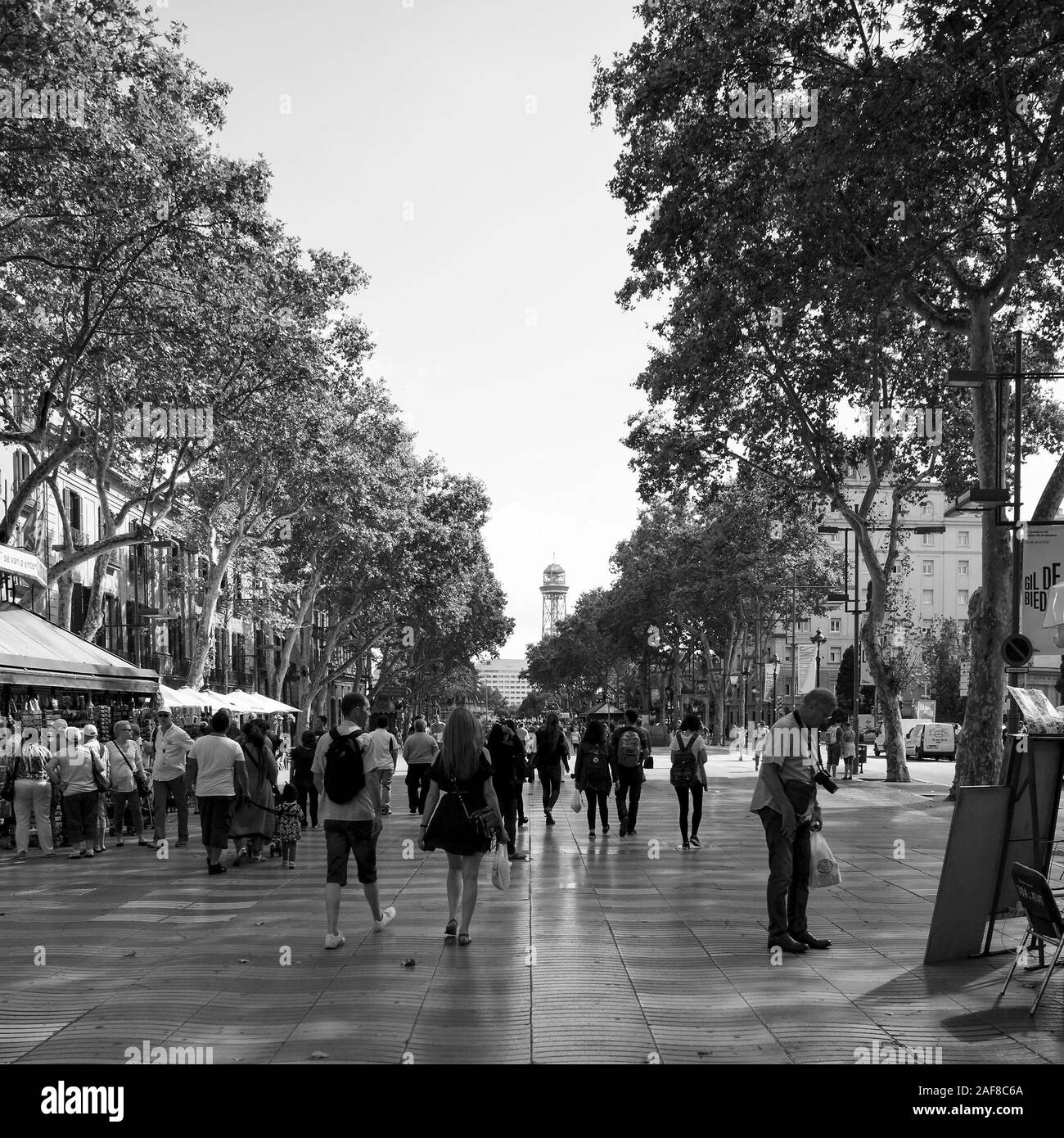 Monochromes Bild im Zusammenhang mit der sehr beliebten Fußgängerzone Gehweg nämlich Barcelona Las Ramblas. Stockfoto