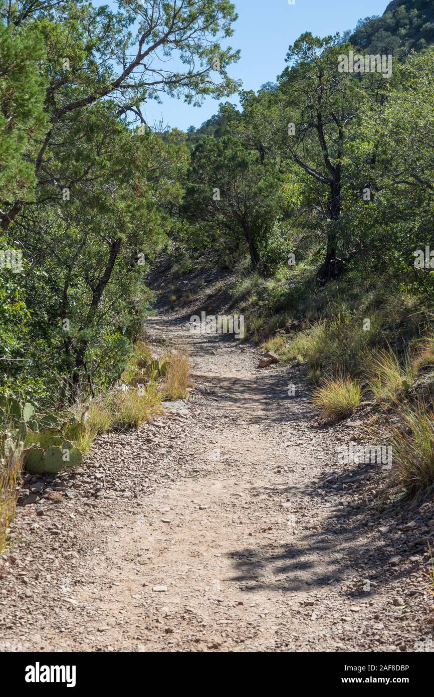 Big Bend National Park, Lost Mine Trail Weg. Stockfoto