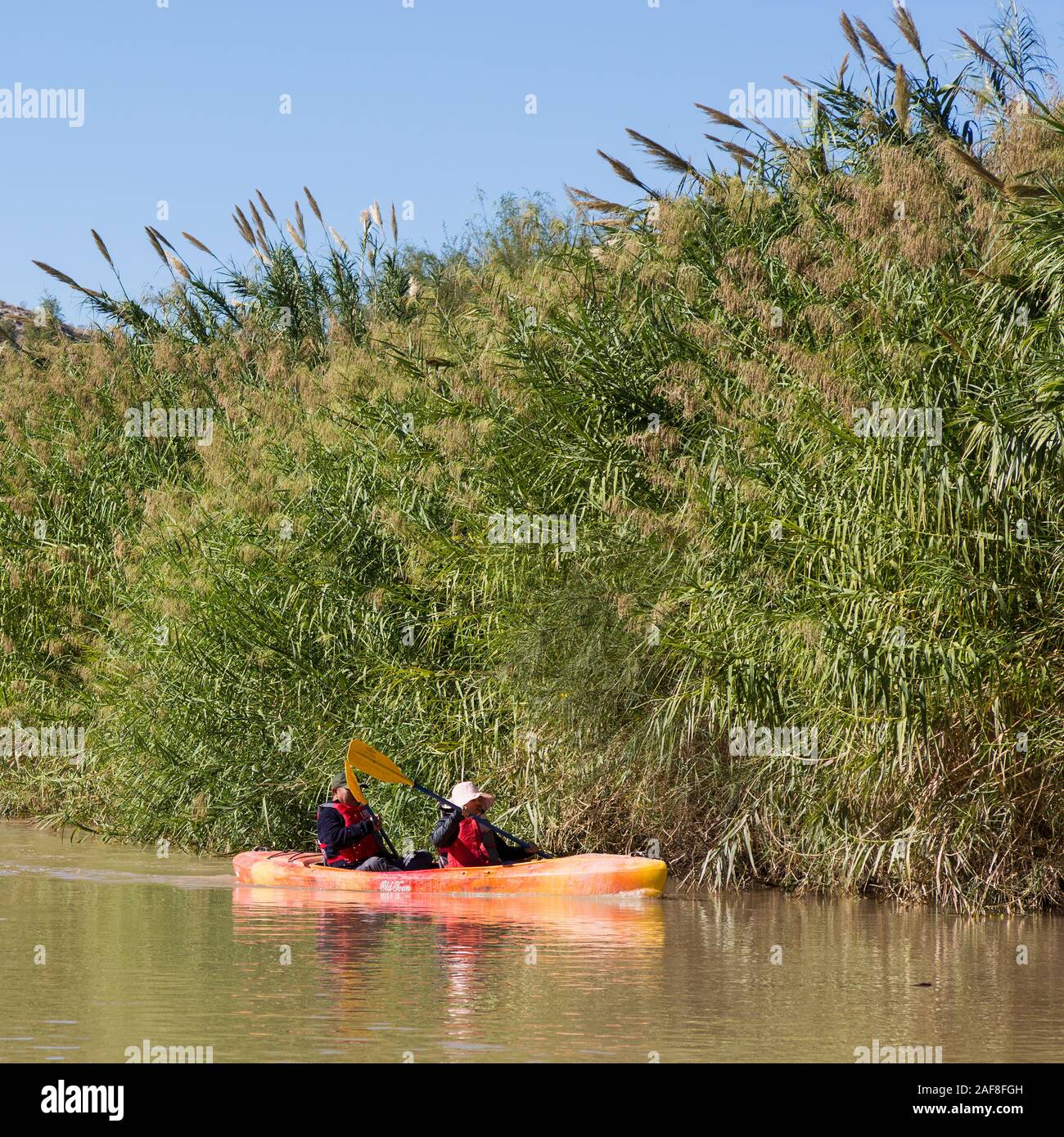 Kanu auf dem Rio Grande Fluss, fließt nordöstlich in der Nähe von Rio Grande Village, Big Bend National Park, Texas. Invasive Carrizo Zuckerrohr auf der Bank. Stockfoto