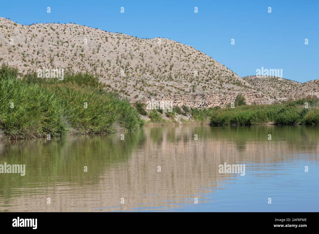 Rio Grande River, in der Nähe von Rio Grande Village, Big Bend National Park, Texas. Carrizo Zuckerrohr (arundo donax), eine invasive Arten, Linien River Bank. Stockfoto