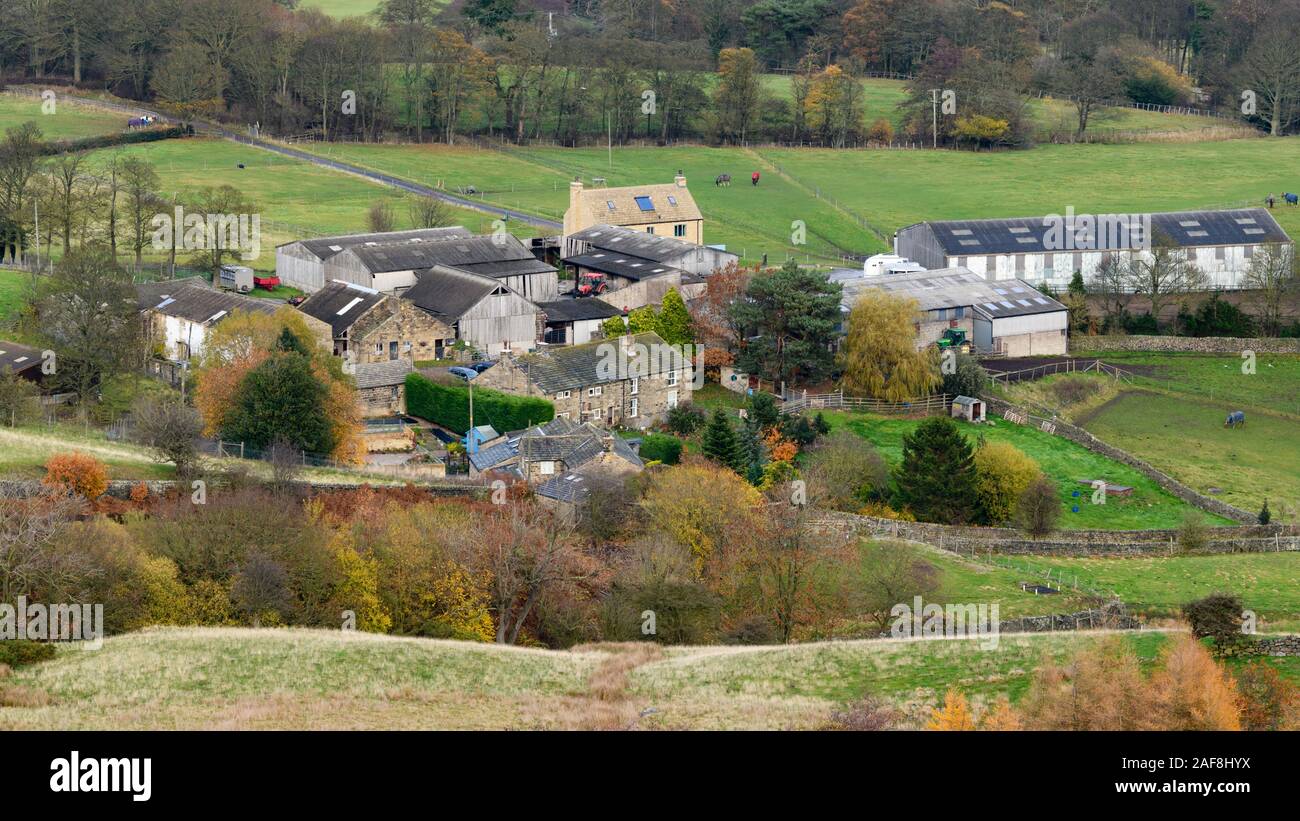 Hohe Aussicht vom Hügel von landwirtschaftlichen Gebäuden (Bauernhaus, Hütten, Scheunen, Ställe) & Pferde grasen in Feldern - Weiler statt, West Yorkshire, England. Stockfoto